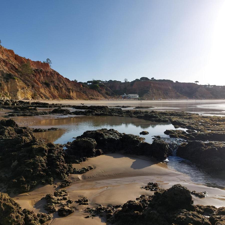 Paradise In Olhos D'Agua Beach Albufeira Ngoại thất bức ảnh